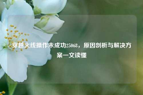 穿越火线操作未成功25068，原因剖析与解决方案一文读懂