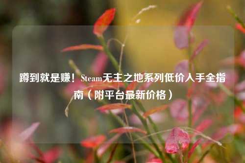 蹲到就是赚！Steam无主之地系列低价入手全指南（附平台最新价格）