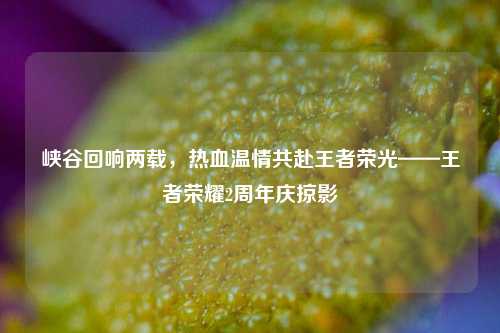 峡谷回响两载，热血温情共赴王者荣光——王者荣耀2周年庆掠影