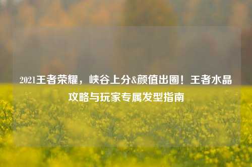 2021王者荣耀,峡谷上分&颜值出圈!王者水晶攻略与玩家专属发型指南