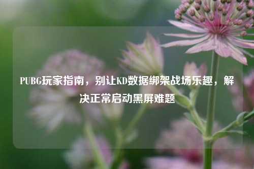 PUBG玩家指南，别让KD数据绑架战场乐趣，解决正常启动黑屏难题