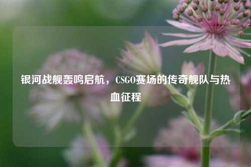 银河战舰轰鸣启航，CSGO赛场的传奇舰队与热血征程