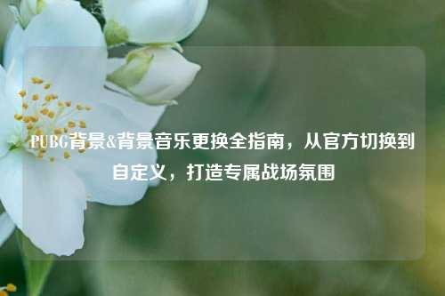 PUBG背景&背景音乐更换全指南，从官方切换到自定义，打造专属战场氛围