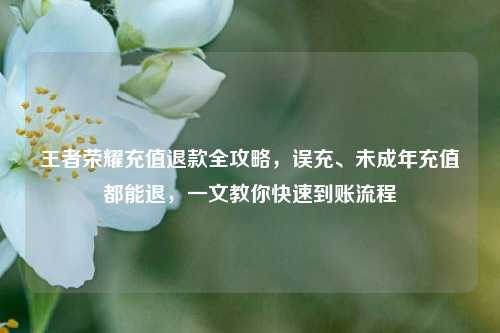 王者荣耀充值退款全攻略,误充、未成年充值都能退,一文教你快速到账流程