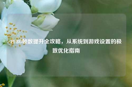 PUBG帧数提升全攻略，从系统到游戏设置的极致优化指南
