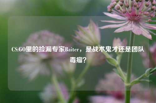 CS:GO里的捡漏专家Baiter,是战术鬼才还是团队毒瘤?
