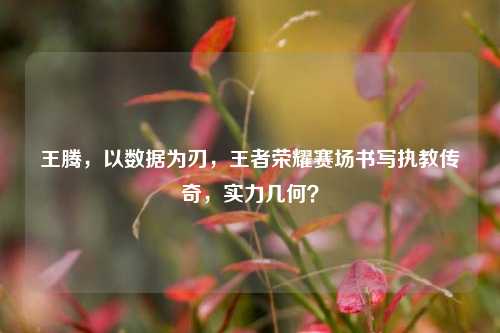 王腾，以数据为刃，王者荣耀赛场书写执教传奇，实力几何？