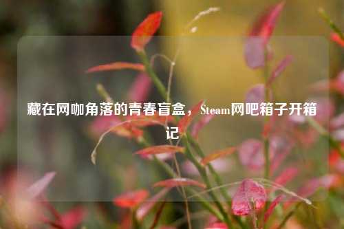 藏在网咖角落的青春盲盒，Steam网吧箱子开箱记