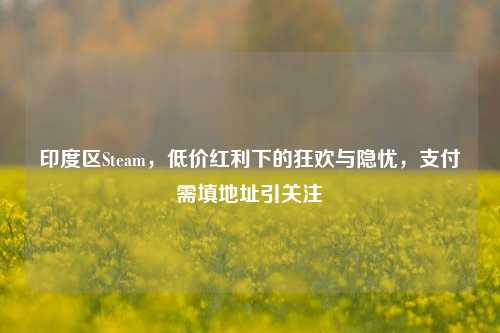 印度区Steam,低价红利下的狂欢与隐忧,支付需填地址引关注