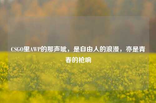 CSGO里AWP的那声呲，是自由人的浪漫，亦是青春的枪响