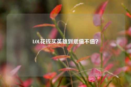 LOL花钱买英雄到底值不值？