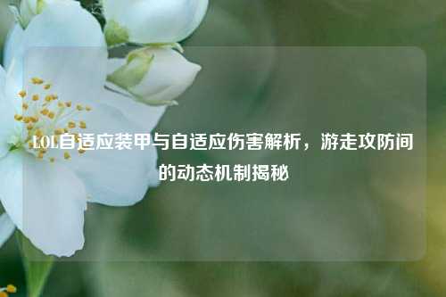 LOL自适应装甲与自适应伤害解析,游走攻防间的动态机制揭秘