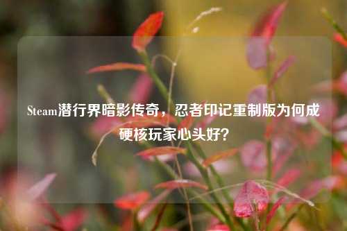 Steam潜行界暗影传奇,忍者印记重制版为何成硬核玩家心头好?