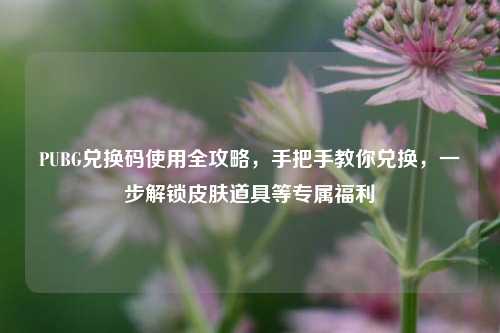 PUBG兑换码使用全攻略，手把手教你兑换，一步解锁皮肤道具等专属福利