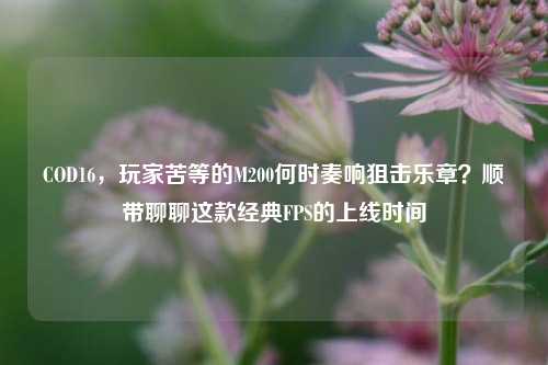 COD16，玩家苦等的M200何时奏响狙击乐章？顺带聊聊这款经典FPS的上线时间