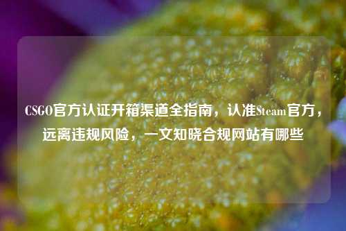 CSGO官方认证开箱渠道全指南，认准Steam官方，远离违规风险，一文知晓合规网站有哪些