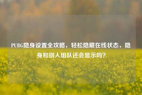 PUBG隐身设置全攻略，轻松隐藏在线状态，隐身和别人组队还会显示吗？
