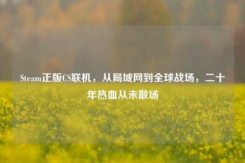 Steam正版CS联机,从局域网到全球战场,二十年热血从未散场