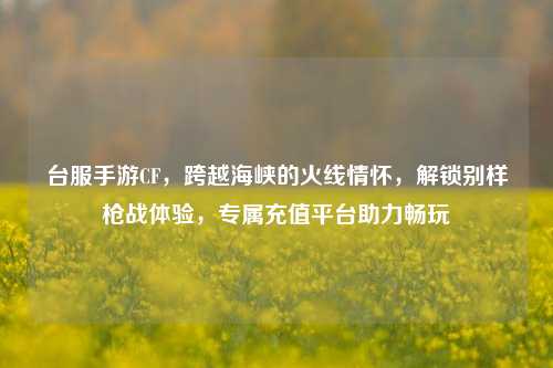 台服手游CF,跨越海峡的火线情怀,解锁别样枪战体验,专属充值平台助力畅玩