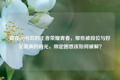 藏在QQ号后的王者荣耀青春,那些被段位与好友填满的时光,绑定困惑该如何破解?
