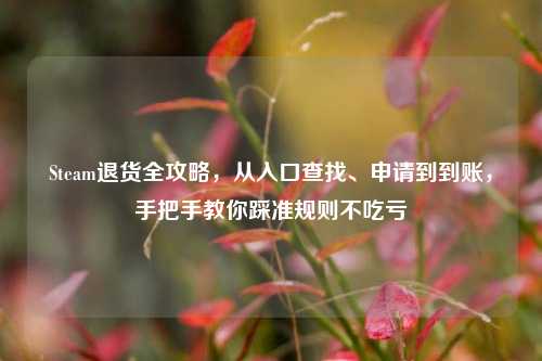 Steam退货全攻略,从入口查找、申请到到账,手把手教你踩准规则不吃亏