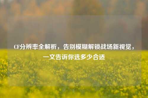 CF分辨率全解析,告别模糊解锁战场新视觉,一文告诉你选多少合适