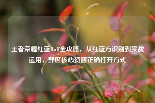 王者荣耀红蓝Buff全攻略，从红蓝方识别到实战运用，野区核心资源正确打开方式
