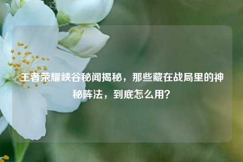 王者荣耀峡谷秘闻揭秘,那些藏在战局里的神秘阵法,到底怎么用?
