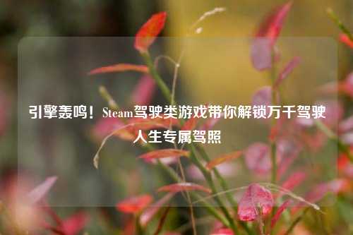 引擎轰鸣!Steam驾驶类游戏带你解锁万千驾驶人生专属驾照