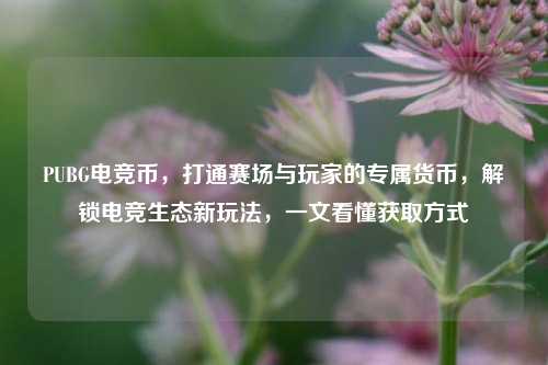 PUBG电竞币，打通赛场与玩家的专属货币，解锁电竞生态新玩法，一文看懂获取方式