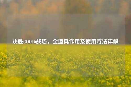 决胜COD16战场，全道具作用及使用方法详解