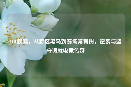 LOL鹏鹏,从野区黑马到赛场常青树,逆袭与坚守铸就电竞传奇
