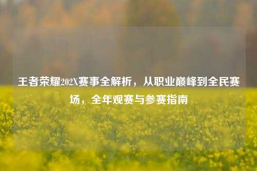 王者荣耀202X赛事全解析，从职业巅峰到全民赛场，全年观赛与参赛指南