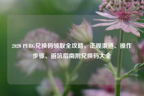 2020 PUBG兑换码领取全攻略，正规渠道、操作步骤、避坑指南附兑换码大全