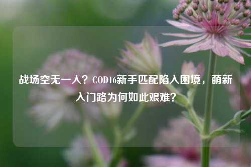 战场空无一人?COD16新手匹配陷入困境,萌新入门路为何如此艰难?