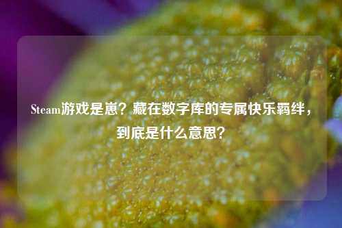 Steam游戏是崽?藏在数字库的专属快乐羁绊,到底是什么意思?