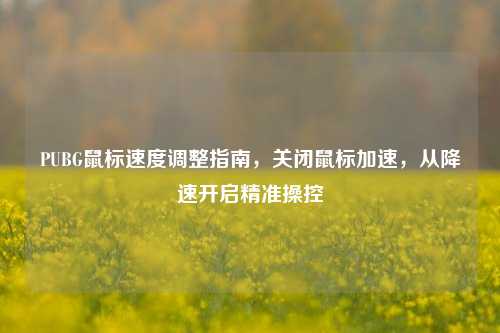 PUBG鼠标速度调整指南,关闭鼠标加速,从降速开启精准操控