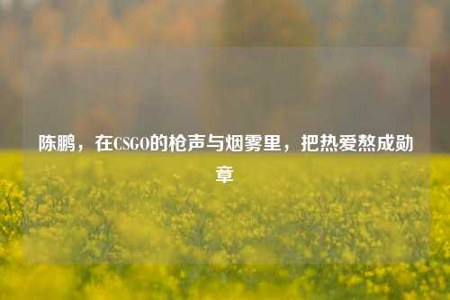 陈鹏，在CSGO的枪声与烟雾里，把热爱熬成勋章