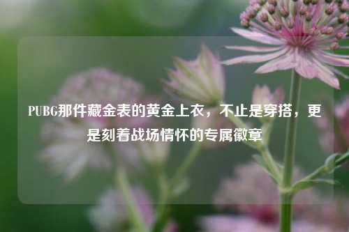 PUBG那件藏金表的黄金上衣，不止是穿搭，更是刻着战场情怀的专属徽章