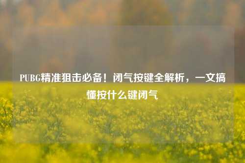 PUBG精准狙击必备!闭气按键全解析,一文搞懂按什么键闭气