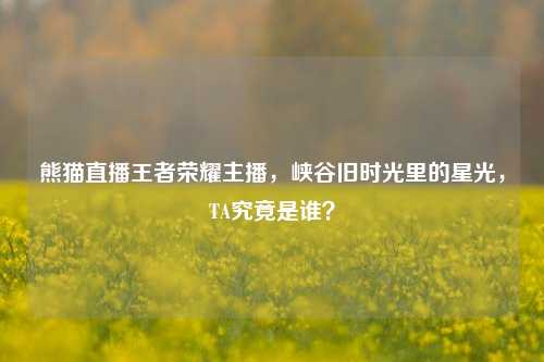 熊猫直播王者荣耀主播,峡谷旧时光里的星光,TA究竟是谁?