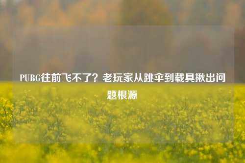 PUBG往前飞不了?老玩家从跳伞到载具揪出问题根源