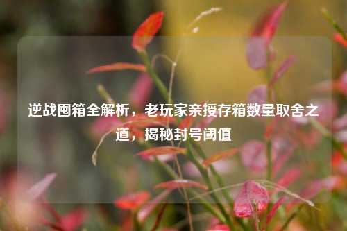 逆战囤箱全解析,老玩家亲授存箱数量取舍之道,揭秘封号阈值