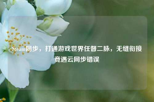 Steam同步,打通游戏世界任督二脉,无缝衔接竟遇云同步错误