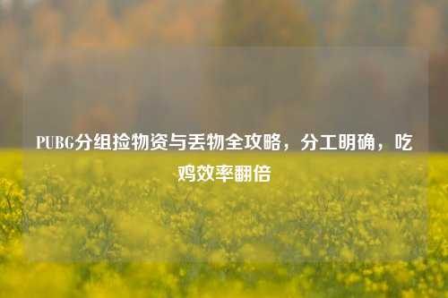 PUBG分组捡物资与丢物全攻略，分工明确，吃鸡效率翻倍