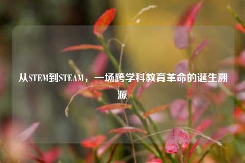 从STEM到STEAM,一场跨学科教育革命的诞生溯源