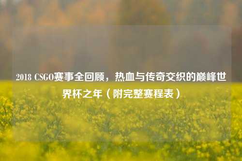 2018 CSGO赛事全回顾，热血与传奇交织的巅峰世界杯之年（附完整赛程表）
