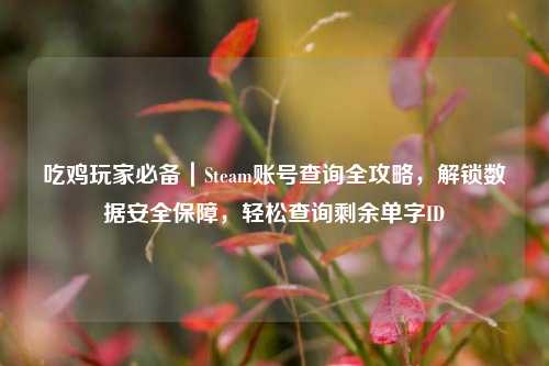 吃鸡玩家必备|Steam账号查询全攻略,解锁数据安全保障,轻松查询剩余单字ID