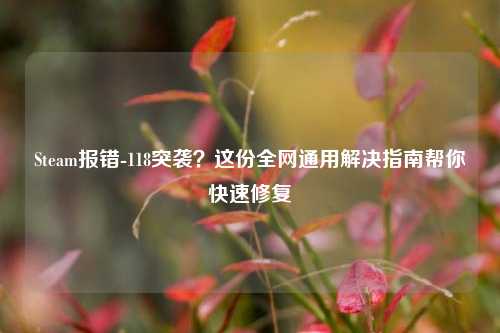 Steam报错-118突袭?这份全网通用解决指南帮你快速修复