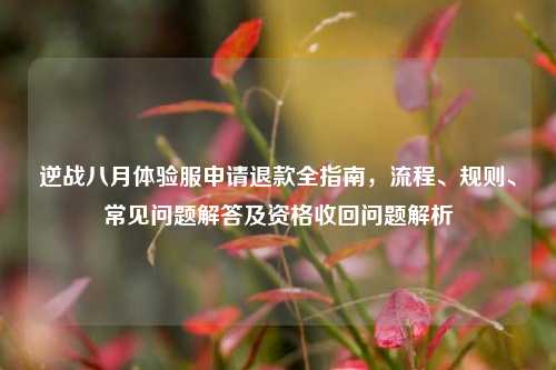 逆战八月体验服申请退款全指南，流程、规则、常见问题解答及资格收回问题解析
